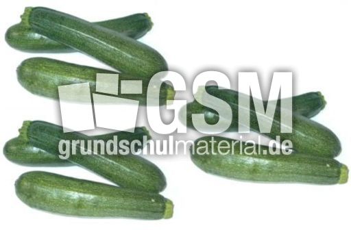 Zucchini-3x3.jpg